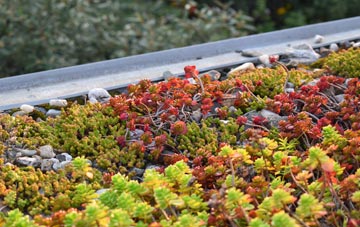the cost of Denchworth green roof installation