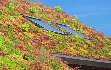 Denchworth living roof systems